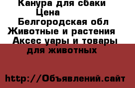 Канура для сбаки › Цена ­ 6 000 - Белгородская обл. Животные и растения » Аксесcуары и товары для животных   